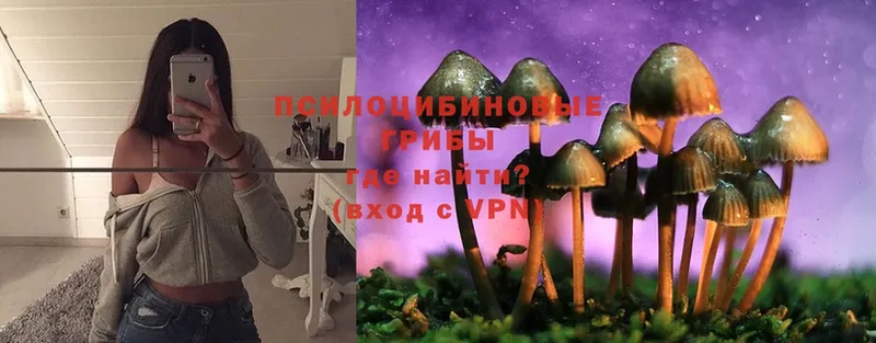 Псилоцибиновые грибы Psilocybine cubensis Велиж